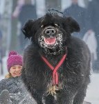 Чем отмыть раствор с машины