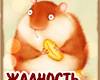 sergo72rus