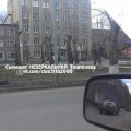 Съемная Тонировка Car Life