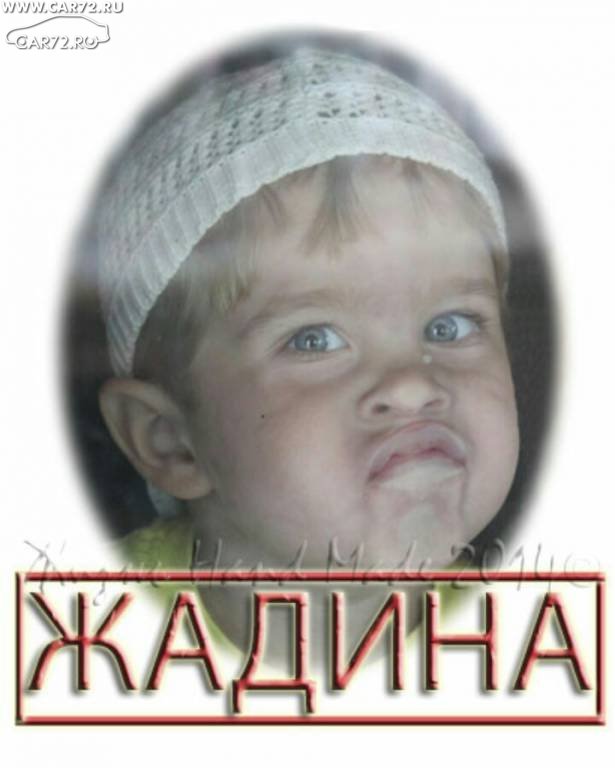 Я Жадина Картинки