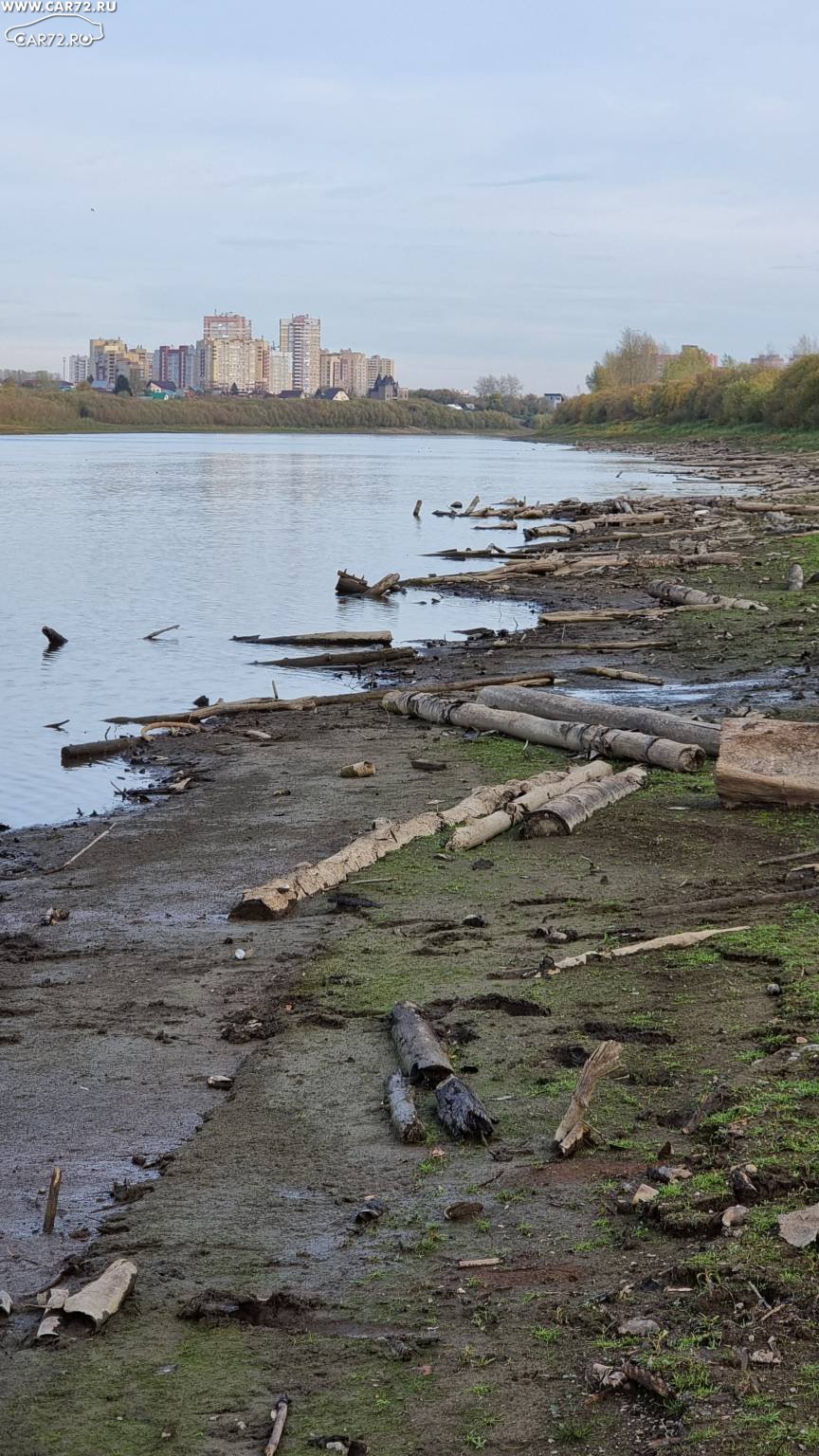 Вода в реке тура тюмень сегодня. Река тура обмелела Тюмень. Обмелевшая тура в Тюмени. Уровень воды. Уровня воды в реке Миссисипи.