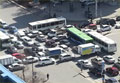 Сегодня отмечается международный день светофора