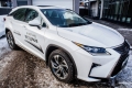 Lexus RX: две грани одного кроссовера