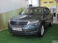 Skoda Kodiaq стартовала на тюменском рынке