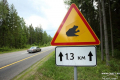 В Эстонии закрыли трассу из-за лягушек