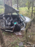 Лада въехала в дерево на трассе в Нижнюю Тавду: один погиб, трое ранены