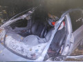 Пассажир автомобиля погиб после ДТП с лосем на трассе Тюмень-Ханты-Мансийск