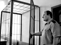 Тюменская банда отсидит за преступления 134 года