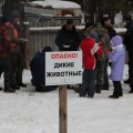 к джиперам подходить нельзя - они дикие