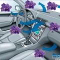 Автостудия "По пути" т.: 959-939