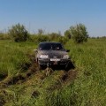 Болотце