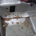 очаги ржи