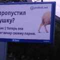 Сегодня в Питере