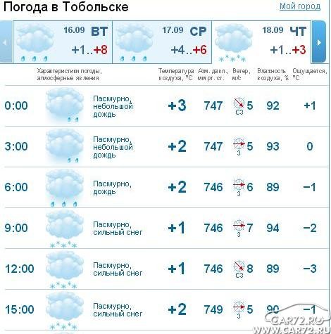 Погода тобольск почасовой на 3 дня