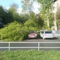 Сегодня ночью упало дерево у дома на ул. Геологоразведчиков, 36(кольцо). Сильно досталось припаркованному автомобилю!