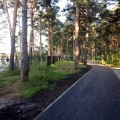 Дорожка вдоль крутого берега озера Кривое. 