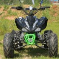 Квадроцикл T-Rex Motax 