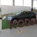 Skoda Kodiaq, Тюмень