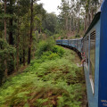 Шри-Ланка, поезд