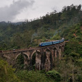 Шри-Ланка. Мост.