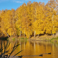 Озеро Цимлянское